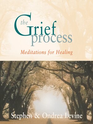 cover image of The Grief Process